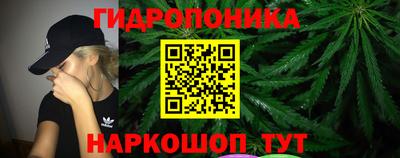 гидра Гусев