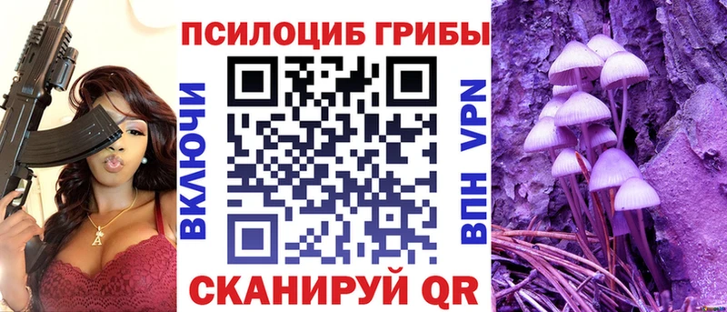 Псилоцибиновые грибы Cubensis  как найти закладки  Нерюнгри 