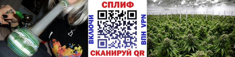 Марихуана марихуана  хочу наркоту  Нерюнгри 